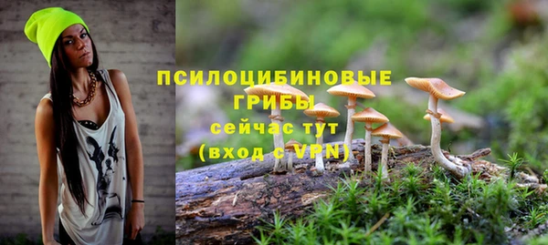 дурь Алексин